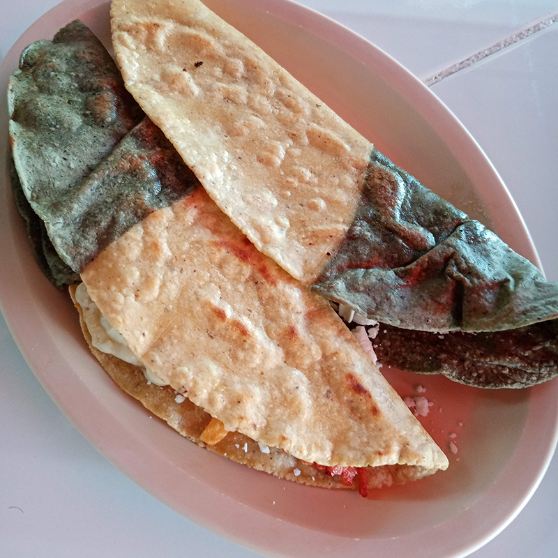 Antojitos Mexicanos Magui, tortillas a mano y garnachas en la Colonia Panamericana