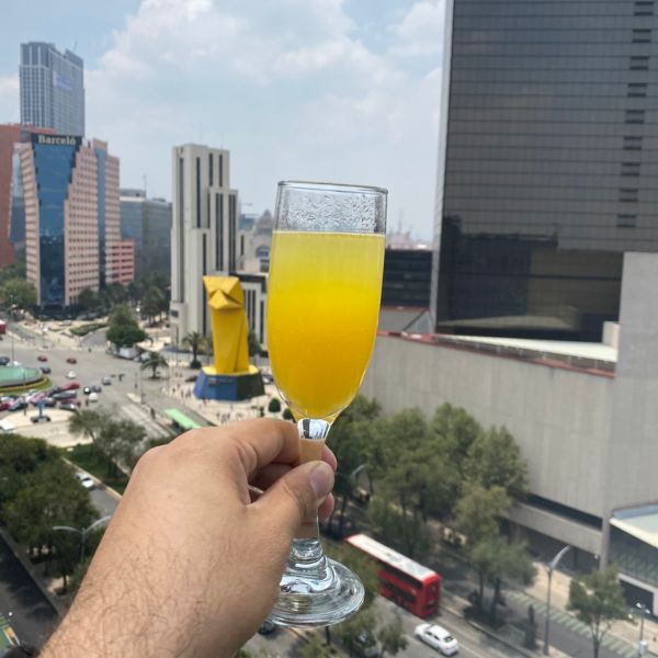 Terraza Xkina Rooftop en Hotel Fontan Reforma, un paraíso gastronómico con la mejor vista de CDMX