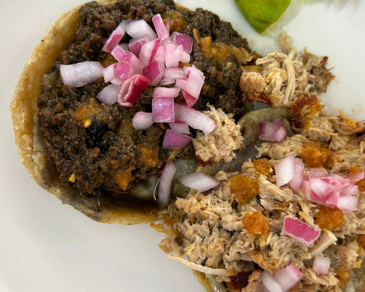 El Makech Púrpura, sabores yucatecos en la Narvarte