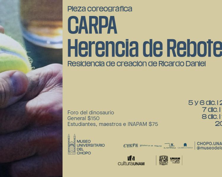 Carpa: Herencia de Rebote en el Museo Universitario del Chopo: Masculinidad, Paternidad y Frontón en una Propuesta Escénica Innovadora