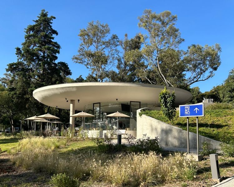 Jardín Escénico de Chapultepec, un espacio de arte y naturaleza en medio de la CDMX