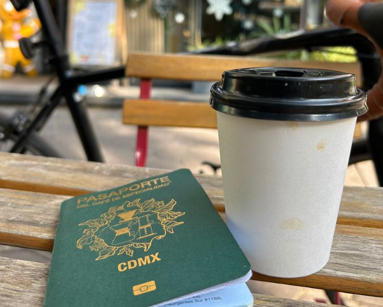Chez Vous, un espacio ideal para trabajar, relajarte y disfrutar en la Ciudad de México