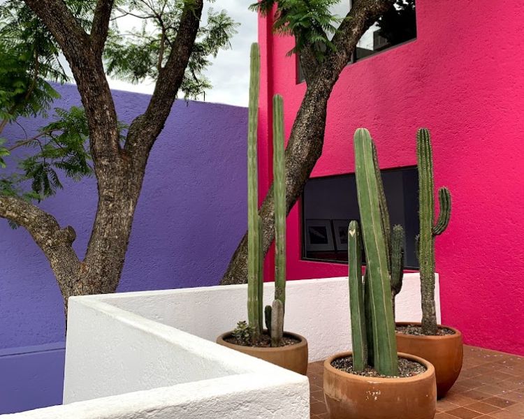 San Miguel Chapultepec, el barrio cultural que floreció junto a Chapultepec