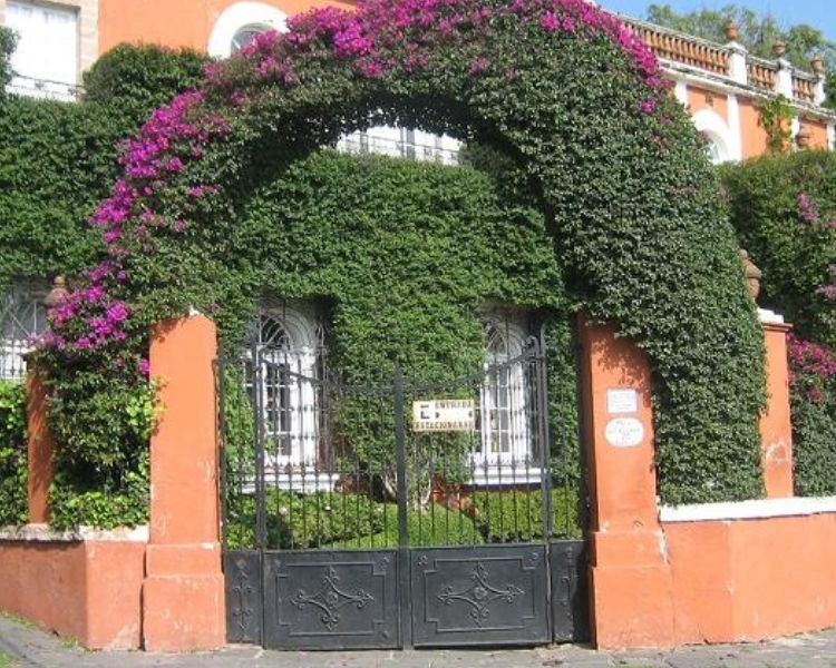 Casa del Mayorazgo de Fagoaga, un rincón de historia y arquitectura en San Ángel
