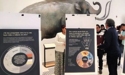 Descubre la Fascinante Historia de los Fósiles en el Museo Paleontológico de Santa Lucía