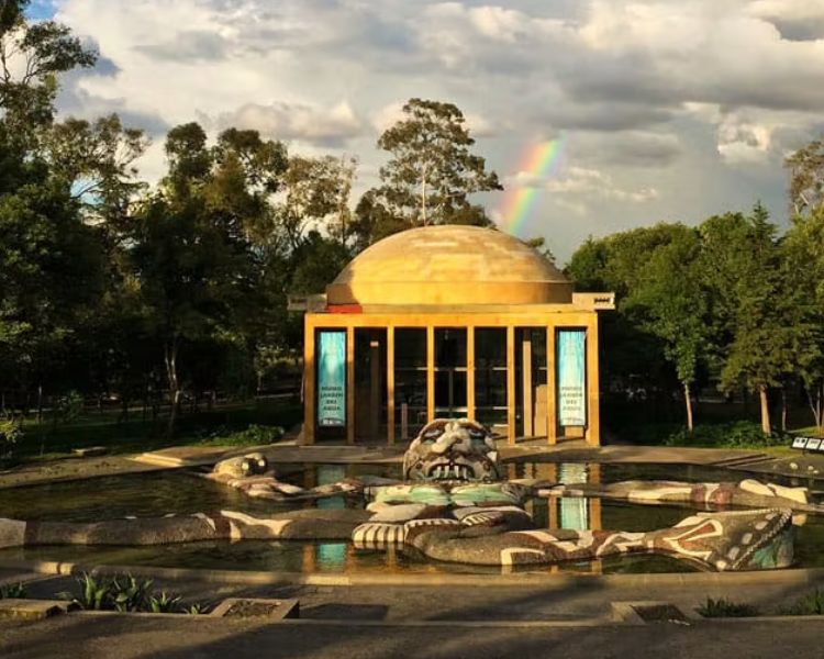 Museo del Cárcamo de Dolores, un oasis de arte, agua e historia en Chapultepec