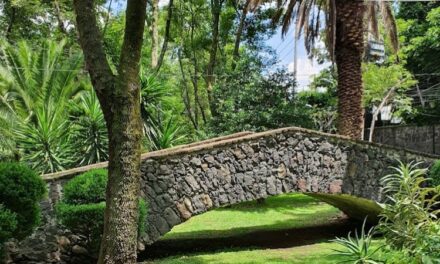 Puentes de Chimalistac, un Viaje en el Tiempo en la Ciudad de México