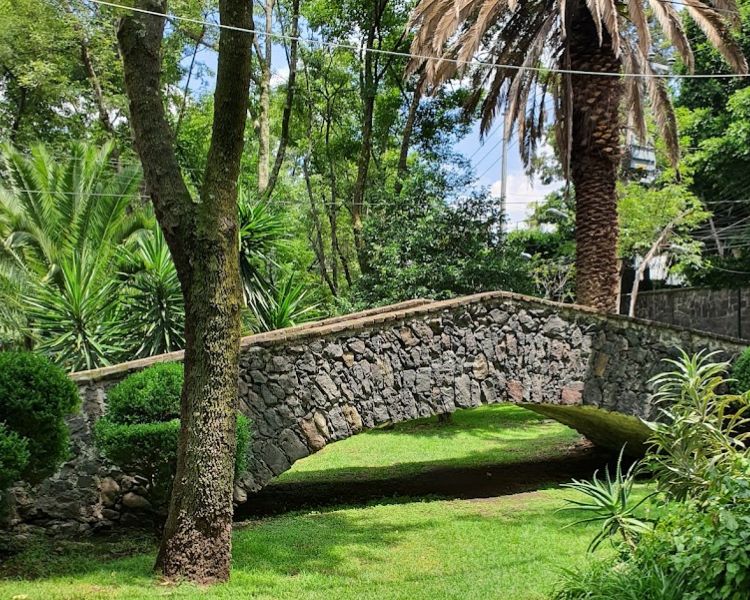 Puentes de Chimalistac, un Viaje en el Tiempo en la Ciudad de México
