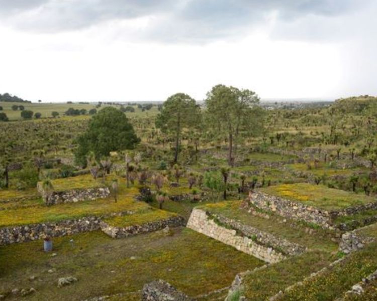 Zona arqueológica de Cantona, en Puebla, celebra 30 años de su apertura