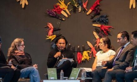 Sk’ak’alil ayan li ak’obale: Mikel Ruiz y la Evolución del Premio Nezahualcóyotl de Literatura en Lenguas Mexicanas