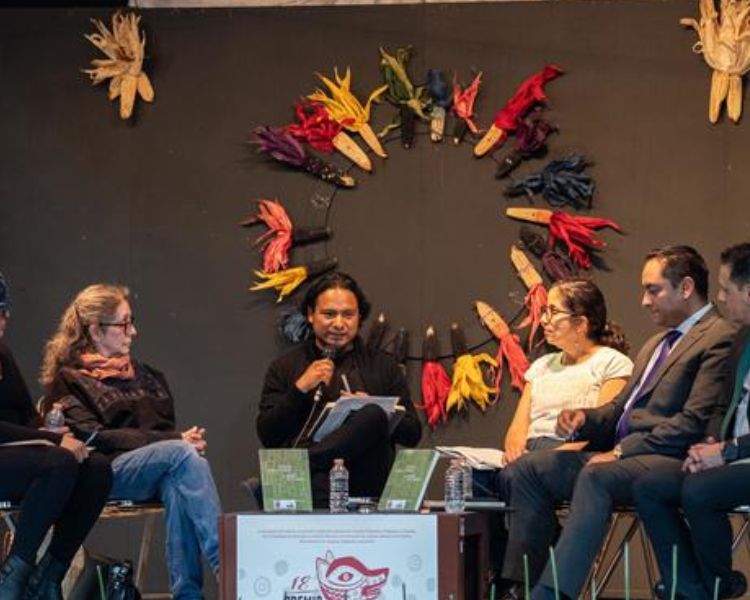 Sk’ak’alil ayan li ak’obale: Mikel Ruiz y la Evolución del Premio Nezahualcóyotl de Literatura en Lenguas Mexicanas