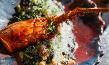 La Sirena y el Pescador: el nuevo restaurante en Mérida que fusiona el Mediterráneo y Yucatán