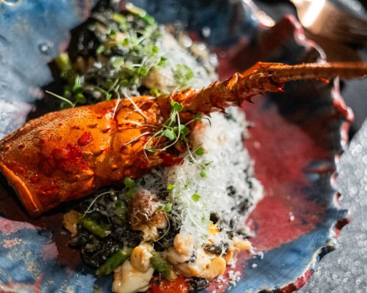 La Sirena y el Pescador: el nuevo restaurante en Mérida que fusiona el Mediterráneo y Yucatán