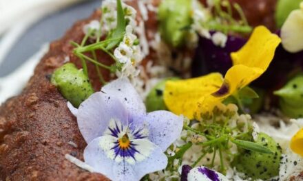 Ritual de Cuaresma: Un festín veracruzano en Sala Gastronómica del Museo de Antropología