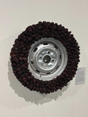 arte-contemporaneo-museo-arte-carrillo-gil-macg-ciudad-mexico-cdmx_7