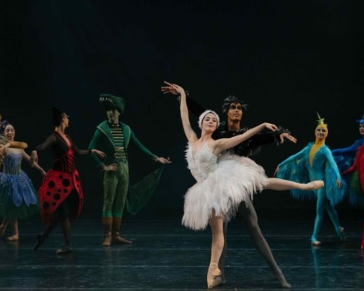 Temporada de Danza Internacional llega al Centro Cultural del Bosque con propuestas de Bélgica, Corea y Reino Unido