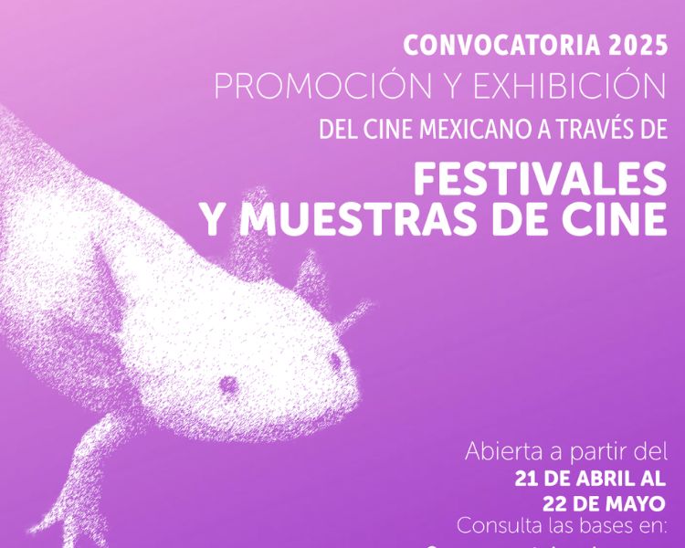 PROCINECDMX lanza convocatorias 2025: hasta 13.2 millones de pesos para impulsar el cine y las nuevas narrativas en la Ciudad de México
