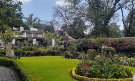 Museo Nacional de la Acuarela, un paraíso de arte y naturaleza en Coyoacán
