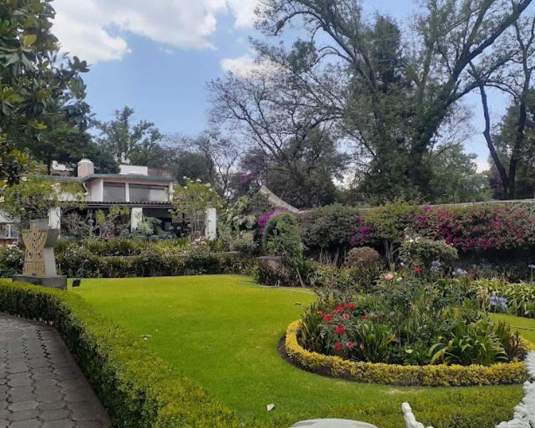 Museo Nacional de la Acuarela, un paraíso de arte y naturaleza en Coyoacán