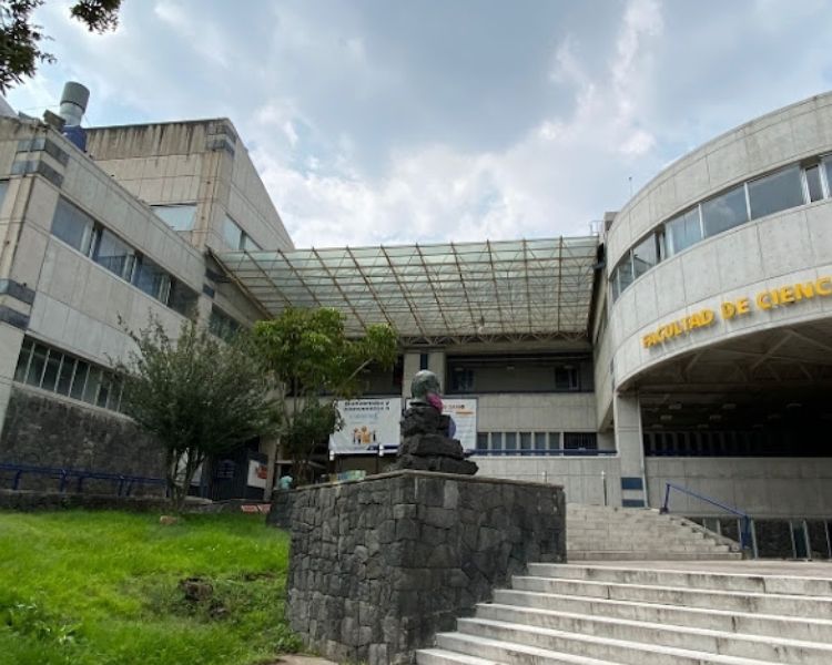 Museo de Zoología Alfonso L. Herrera, un recorrido académico por la diversidad mexicana en CU
