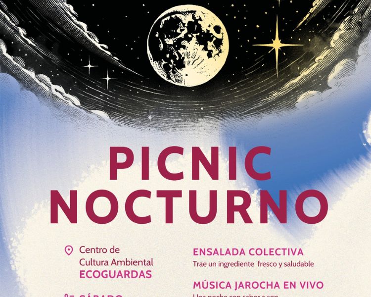 Picnic Nocturno en la Ciudad de México: Cultura, Naturaleza y Convivencia Bajo las Estrellas