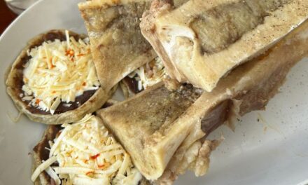 Alingo Lingo, un rincón de sabores y cultura de la Costa Chica de Guerrero en Lindavista