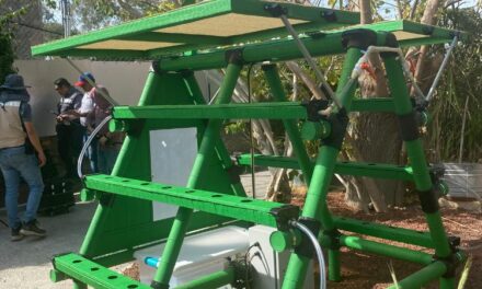 ♻️ Recicla latas y cultiva vida: así funciona la hidroponía sustentable en la Casa “Doña María Pons” de Grupo Herdez
