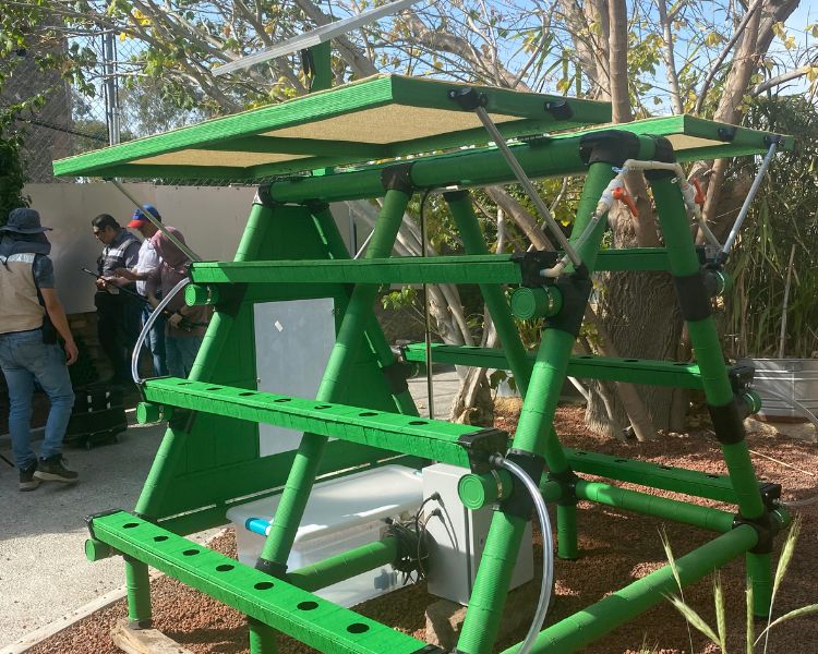 ♻️ Recicla latas y cultiva vida: así funciona la hidroponía sustentable en la Casa “Doña María Pons” de Grupo Herdez