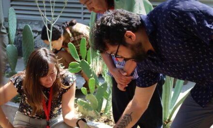 Botánica culinaria en México: saberes ancestrales que transforman la cocina y la sustentabilidad