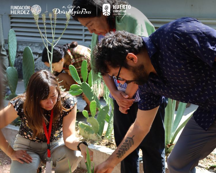 Botánica culinaria en México: saberes ancestrales que transforman la cocina y la sustentabilidad