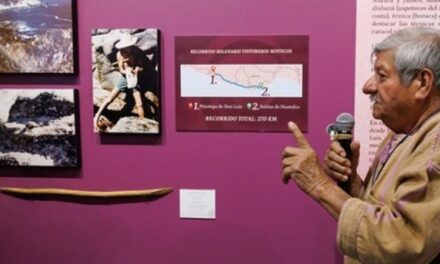 Tixinda: la lucha mixteca por el caracol púrpura llega al Museo Nacional de Culturas Populares