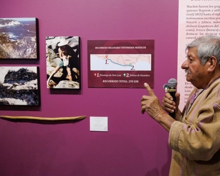 Tixinda: la lucha mixteca por el caracol púrpura llega al Museo Nacional de Culturas Populares