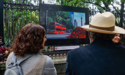 20 años moviendo a la ciudad: el Metrobús celebra su aniversario con una exposición fotográfica en Chapultepec