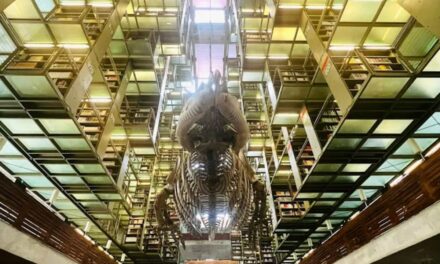Biblioteca Vasconcelos, un arca del conocimiento al norte de la CDMX