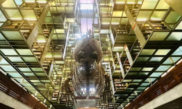 Biblioteca Vasconcelos, un arca del conocimiento al norte de la CDMX