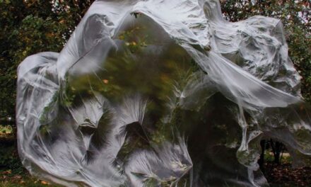“Desde el regazo de un pájaro”: nueva exposición en MUAC explora la relación entre naturaleza, arte y vida humana