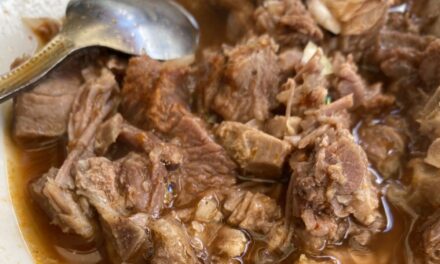 La Perla Tapatía, birria con sabor a Jalisco en Metro Bondojito / Mercado de Río Blanco