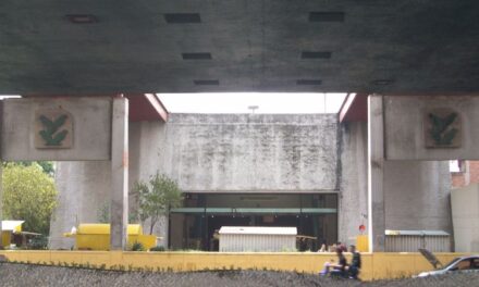 Metro Bondojito, un viaje entre nopales y palabras otomíes