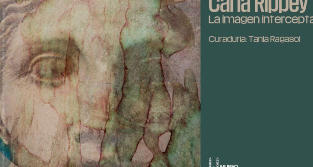 Carla Rippey en el Museo del Chopo: arte, archivo y memoria en “La imagen interceptada”