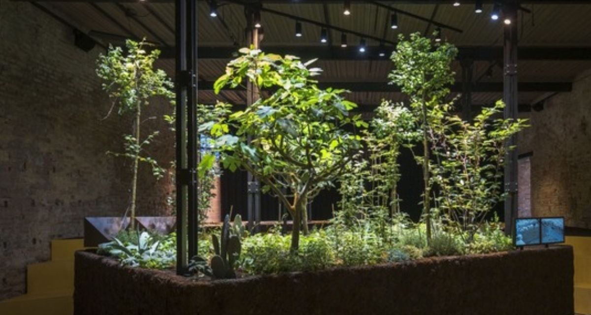 Chinampa Veneta: La arquitectura sostenible que une Xochimilco y Venecia llega al Palacio de Bellas Artes