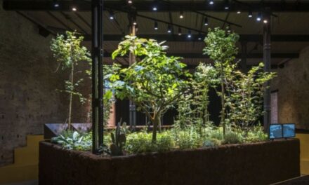 Chinampa Veneta: La arquitectura sostenible que une Xochimilco y Venecia llega al Palacio de Bellas Artes