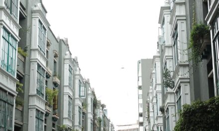 Conjunto Mazatlán, historia viva entre arte, arquitectura y vecindades legendarias en la Condesa