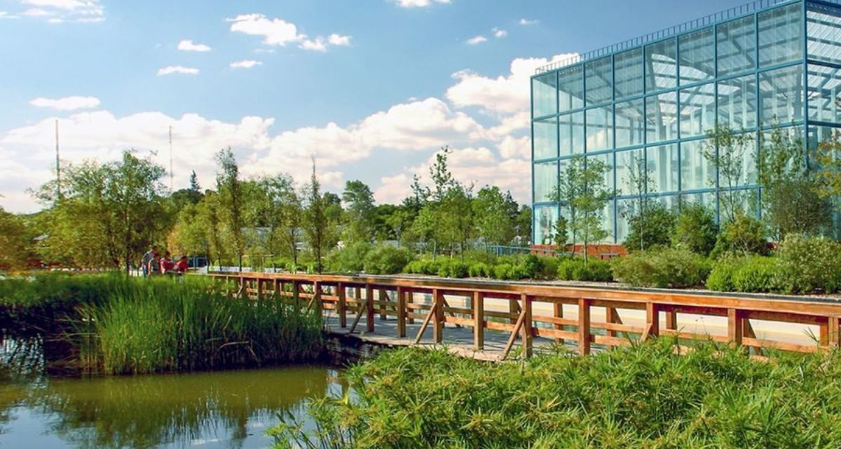 Parque Bicentenario, un respiro verde donde florece la memoria en Refinería (San Lorenzo Tlaltenango)