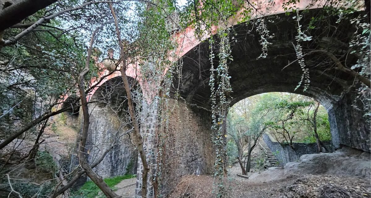 Parque Público Cárpatos, un bosque secreto de arquitectura neocolonial y art déco en las Lomas de Chapultepec
