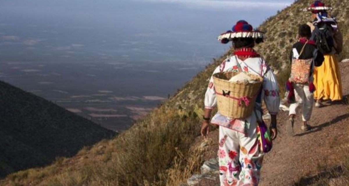 La Ruta Wixárika a Wirikuta es declarada Patrimonio Mundial: un reconocimiento a una cultura viva y ancestral