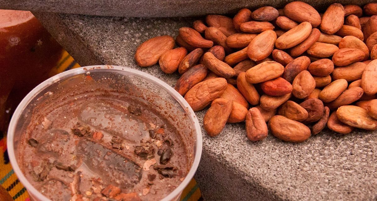 Sendecho y pozol: bebidas ancestrales que nutren cuerpo y cultura
