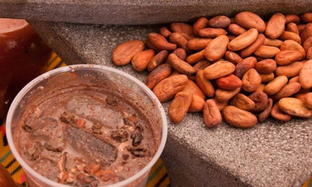 Sendecho y pozol: bebidas ancestrales que nutren cuerpo y cultura