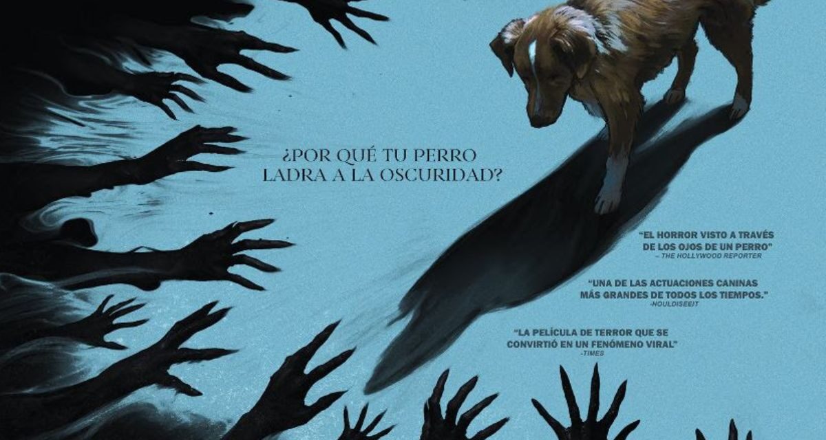 Good Boy: Confía en su Instinto, el fenómeno viral de terror que llega a México este 23 de octubre