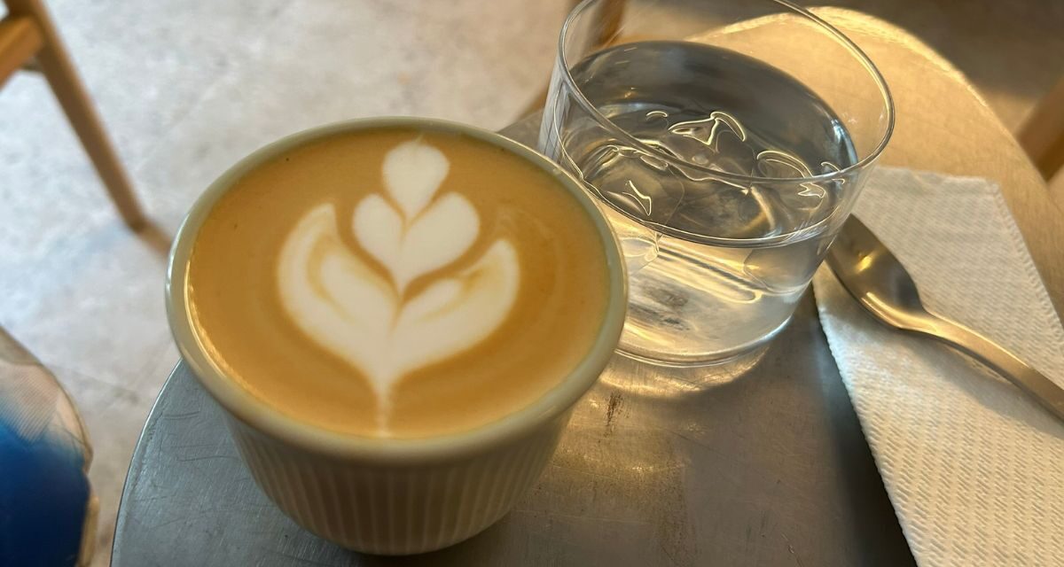 Bólido Café, un cálido rincón para amantes del café de especialidad en Coyoacán
