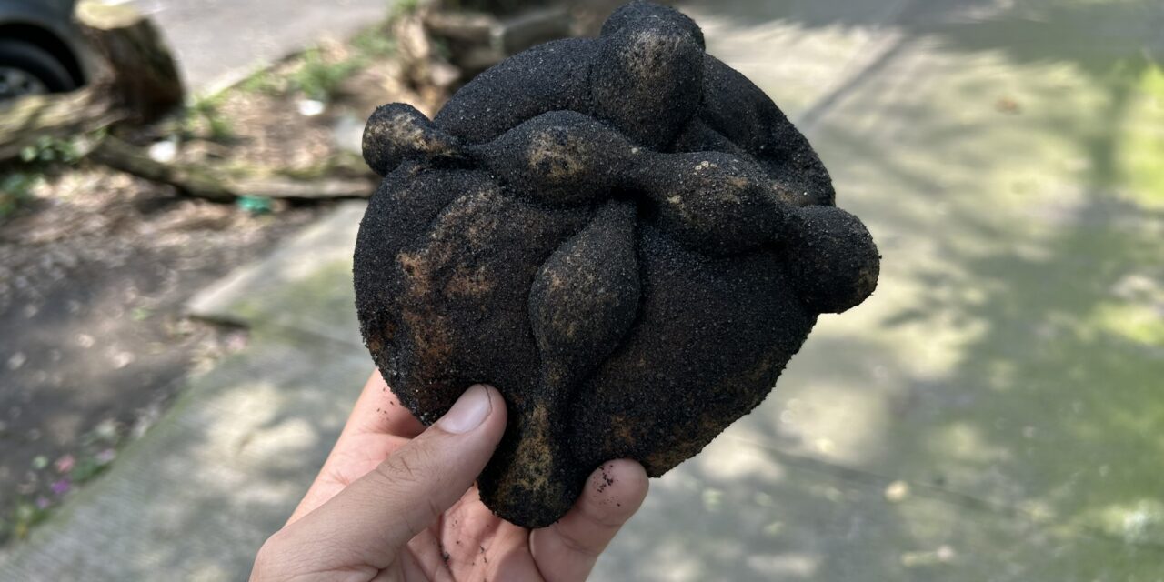 Pan de Muerto Challenge 2025: En busca del mejor pan de muerto en la Nápoles (Del 31 al 35)